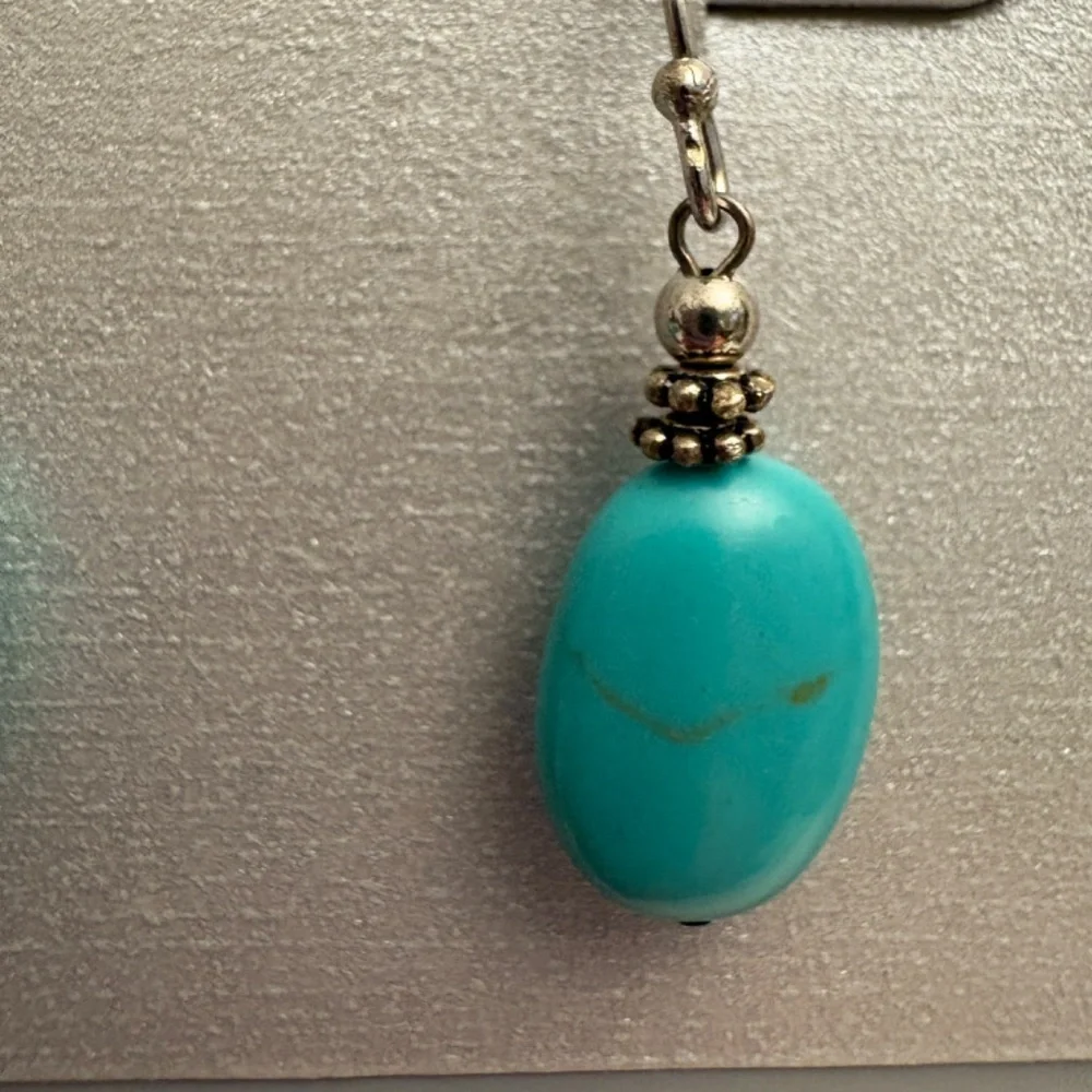 Sterling Silver and Turquoise Earrings from Steinmart